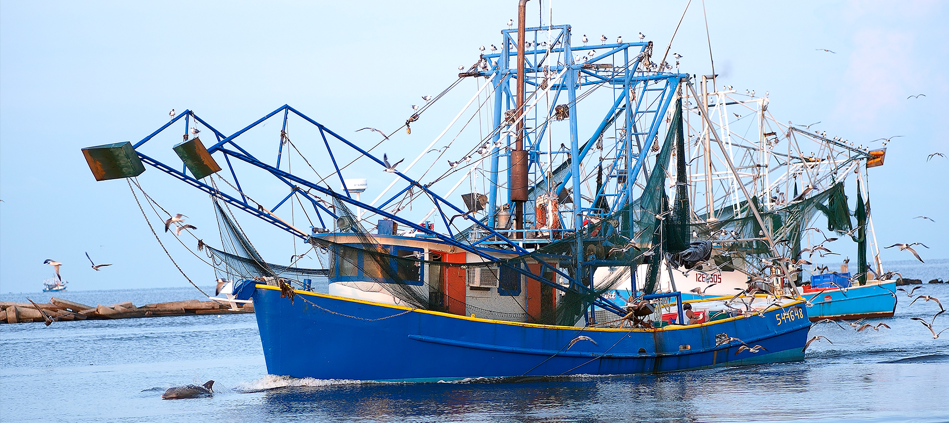 Ulifefoods, Produsen Makanan Olahan Daging & Makanan Laut Beku Terkemuka selama 20 Tahun