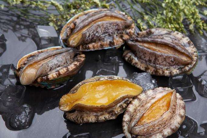 Rumah makanan laut yang lezat: Produsen abalon profesional di Fujian, Tiongkok